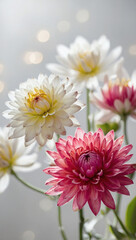 Bright blooms on white, ideal for holiday greetings, Mother's Day, Easter, Valentine's.
