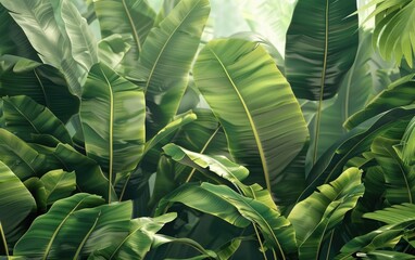 Dense tropical foliage with large green leaves and palm fronds.