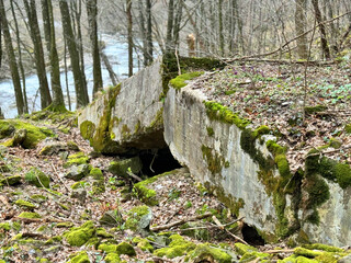 2 World War Arpad Line in the Carpathians -Hungary, now Ukraine. In the beech forest of...