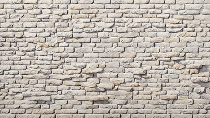 Obraz premium white brick wall with green ivy climbing along it