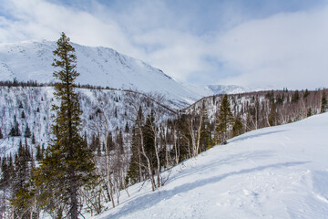 Hibiny mountains, springtime at Russian Nord, sunshine