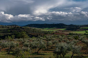 Obraz premium photographs of beautiful landscapes and nature