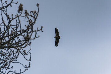 photographs of beautiful landscapes and nature