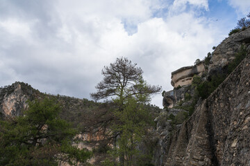 photographs of beautiful landscapes and nature