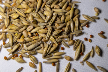 Seeds of oats, wheat, barley, rye and millet. Grass for cats.