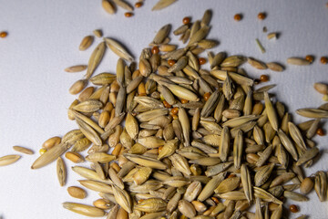 Seeds of oats, wheat, barley, rye and millet. Grass for cats.