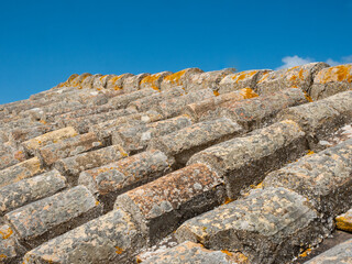 Moss-Covered Roof Tiles in Close-Up Shot