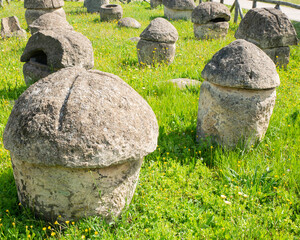 Etruscan Necropolis with Mushroom-Shaped Tombs