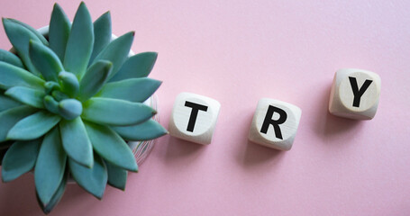 Try symbol. Wooden cubes with word Try. Beautiful pink background with succulent plant. Business...