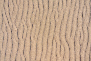 Clean golden sand windblown into curved ripples, as a tropical nature beach background
