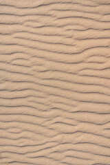 Clean golden sand windblown into curved ripples, as a tropical nature beach background

