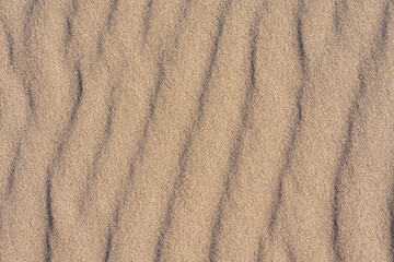 Clean golden sand windblown into curved ripples, as a tropical nature beach background
