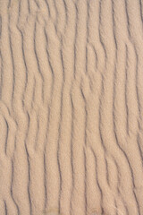 Clean golden sand windblown into curved ripples, as a tropical nature beach background
