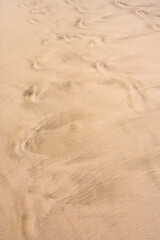 Clean golden sand with wave patterns, as a tropical nature beach background
