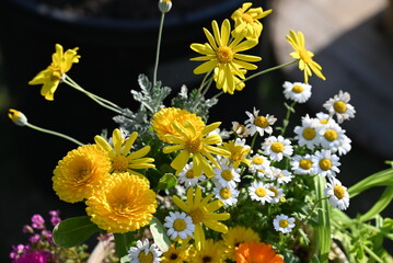 カラフルな花と小さな木が一緒に植えられた、フラワーアレンジメントのような美しい寄せ植え