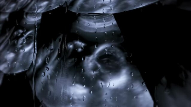 A collage of images of a fetus ultrasound screen for medical reference and study
