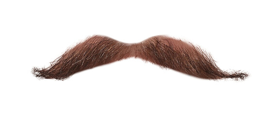 Stylish brown mustache isolated on white. Facial hair