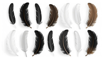 
bird feathers in flat style, vector 3D avatars set vector icon, white background, black colour icon