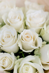 Bouquet of cream roses closeup. Soft focus.
