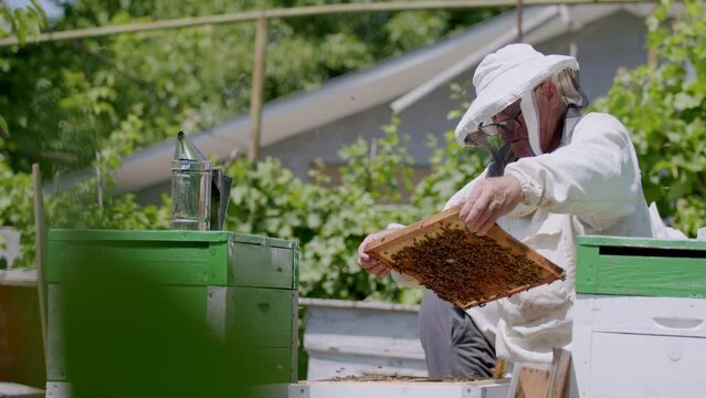 People in protective gear beekeepers work on apiary collecting honey from crafted honeycombs. Bee farm intricate process of honey production beekeepers in safeguarding precious nectar of bees