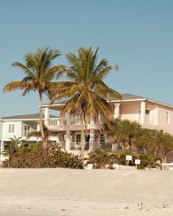 beach house with palm trees 