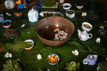 Plants herbs and spices setup for workshop
