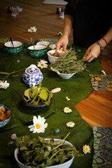 Plants herbs and spices setup for workshop