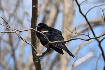 Marais Kingsbury 10 Mai 2024