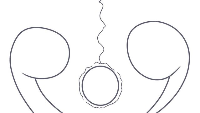 Between two cartoonish outgrowths wrapped in boxing gloves, there hangs a circle with a stripe moving around this object.