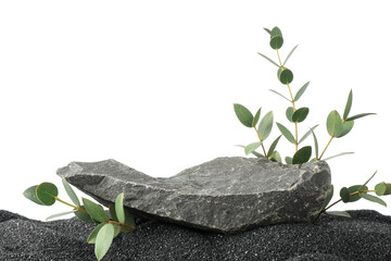 Presentation of product. Stone podium and green branches on black sand against white background