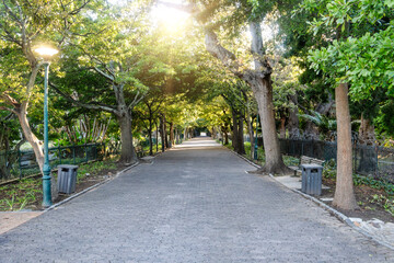 alley in a park , diminishing perspective, green trees, summer in Cape Town, South Africa, paved with interlocking bricks, - Powered by Adobe