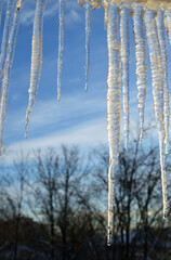 Icicles on blurred background.