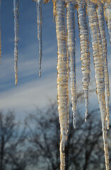 Icicles on blurred background.