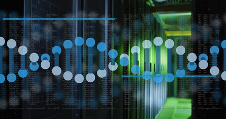 Image of data processing and dna strand over server room