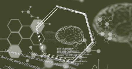 A digital brain and hexagonal shapes float over green background with code