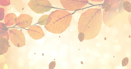 Image of happy thanksgiving day text over autumn leaves on yellow background
