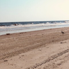 quiet day at the beach