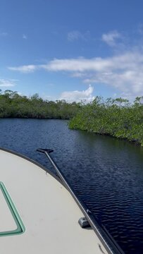 Florida everglades