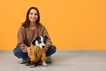 Beautiful young woman with cute staffordshire terrier puppy near yellow wall