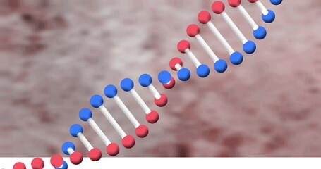 Obraz premium Digital image of dna structure spinning against abstract texture on brown background