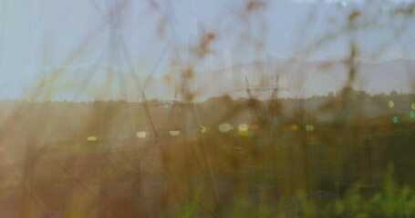 Image of financial graphs over electricity poles and landscape