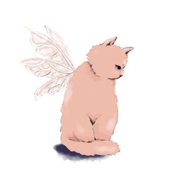 Pink cat with wings in anime style. Isolated illustration