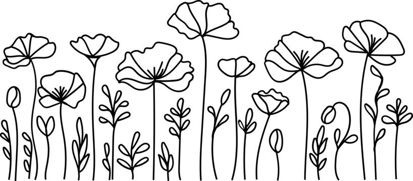 Wildflowers with poppy flowers 