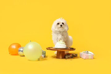 Cute Bolognese dog celebrating Birthday with cake and gift box on yellow background