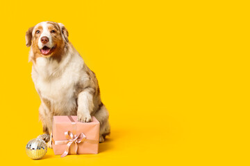 Cute Australian Shepherd dog with gift box and disco ball celebrating Birthday on yellow background