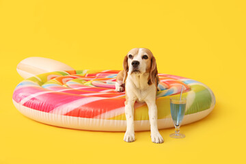 Cute dog on inflatable mattress in shape of candy with cocktail on yellow background