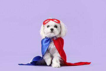 Cute little dog in superhero costume on lilac background