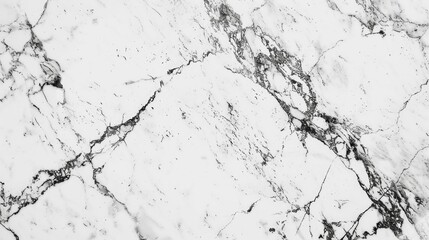 Fototapeta premium High resolution white marble texture