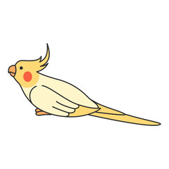 Cute Cockatiel illustration