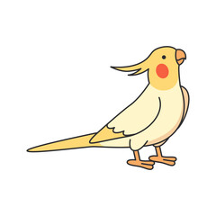 Cute Cockatiel illustration
